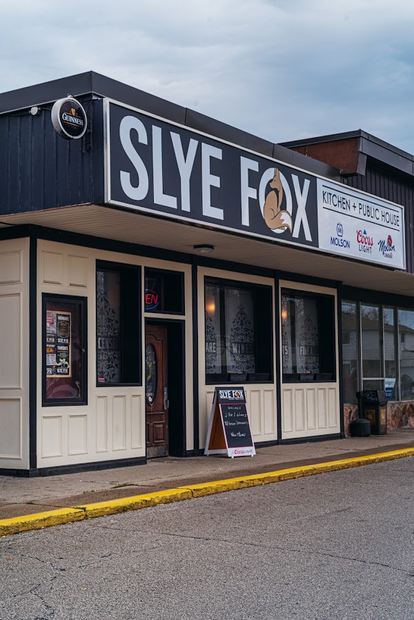 The Slye Fox