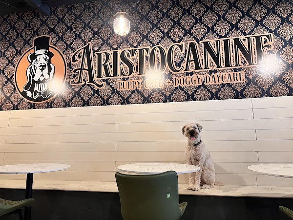 AristoCanine