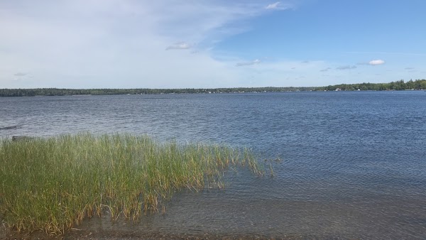 Falcon Lake